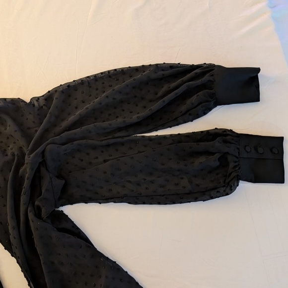 Altuzarra Swiss Dot Sheer Tie-Neck Flowy Elegant Timeless Black Sheer Blouse - Picture 5 of 13